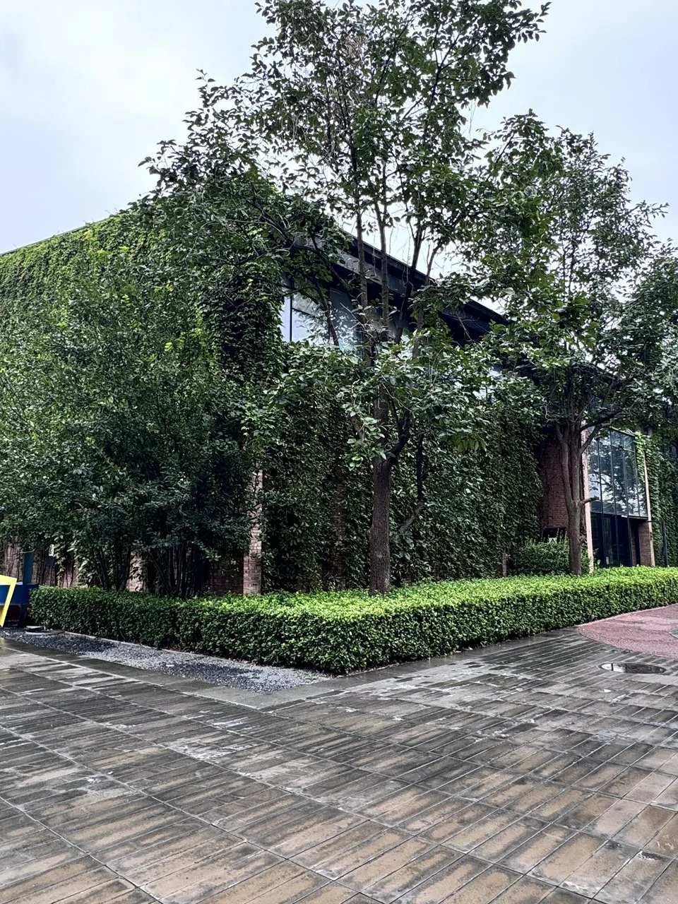 高碑店独栋租金低至奶茶价