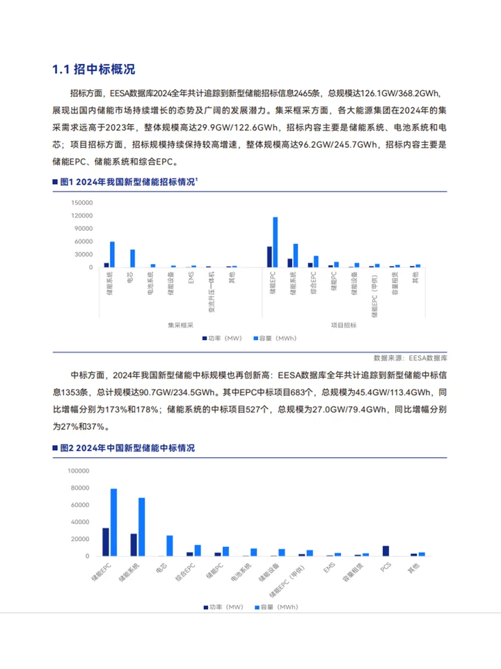 2025中国新型储能行业发展白皮书机遇与挑战