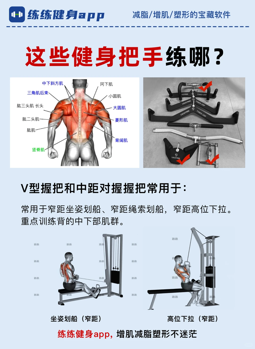 新手必看！这些健身把手练哪？后悔没早点看