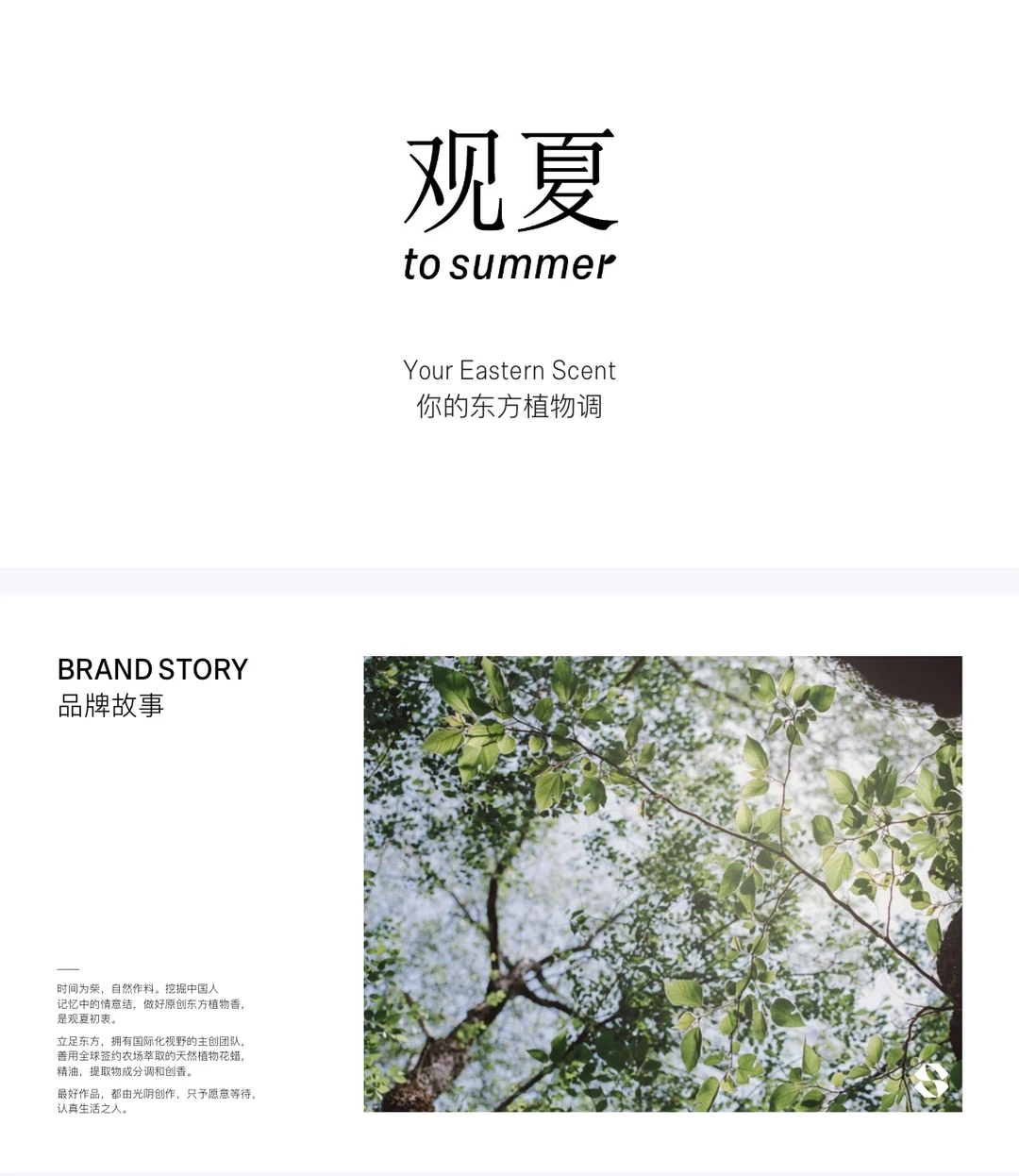 品牌案例｜观夏品牌营销案例