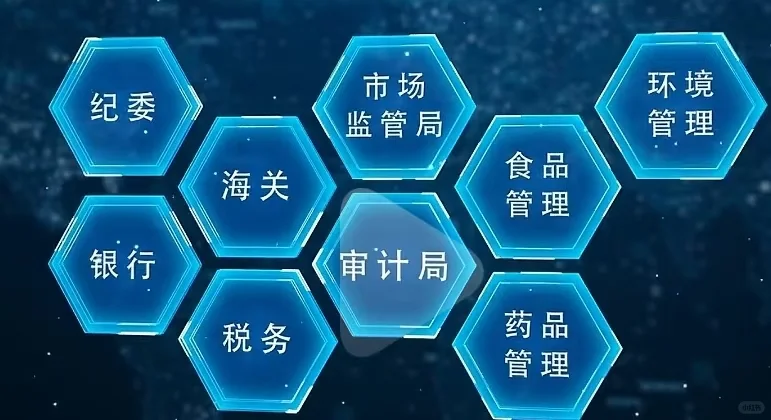 公检法大数据