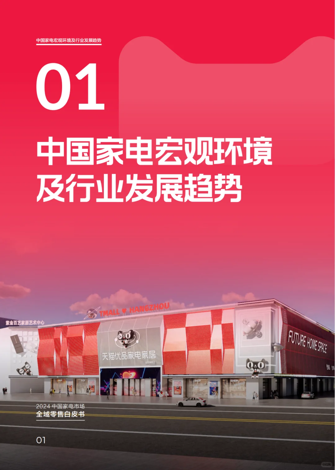 家电白皮书