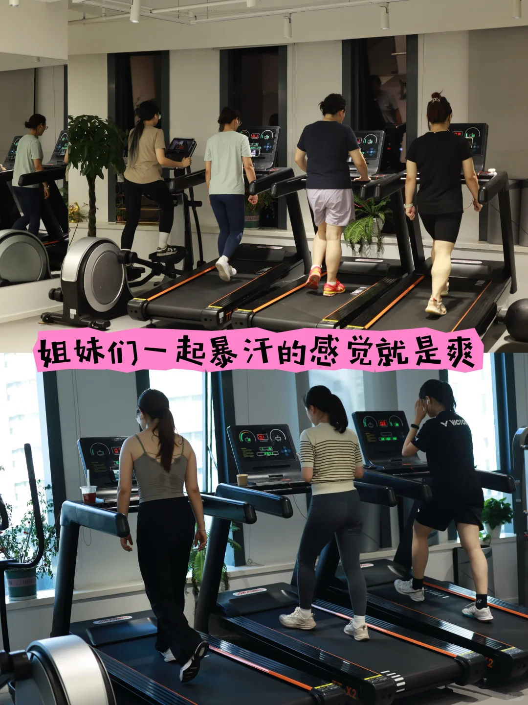 我在九亭开了一家全女健身房/效果才是专业