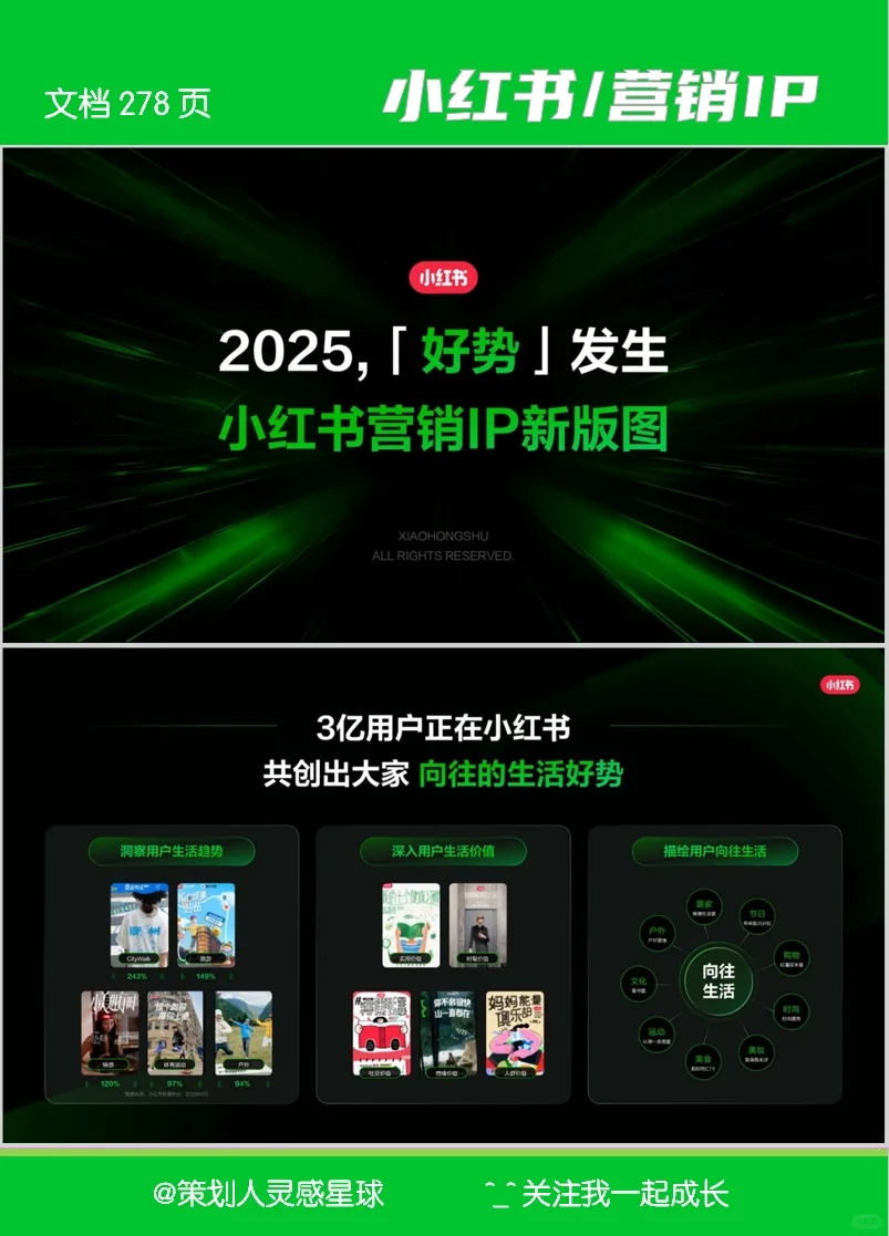 [P8]2025小红书营销 IP 全景｜品牌必看攻略