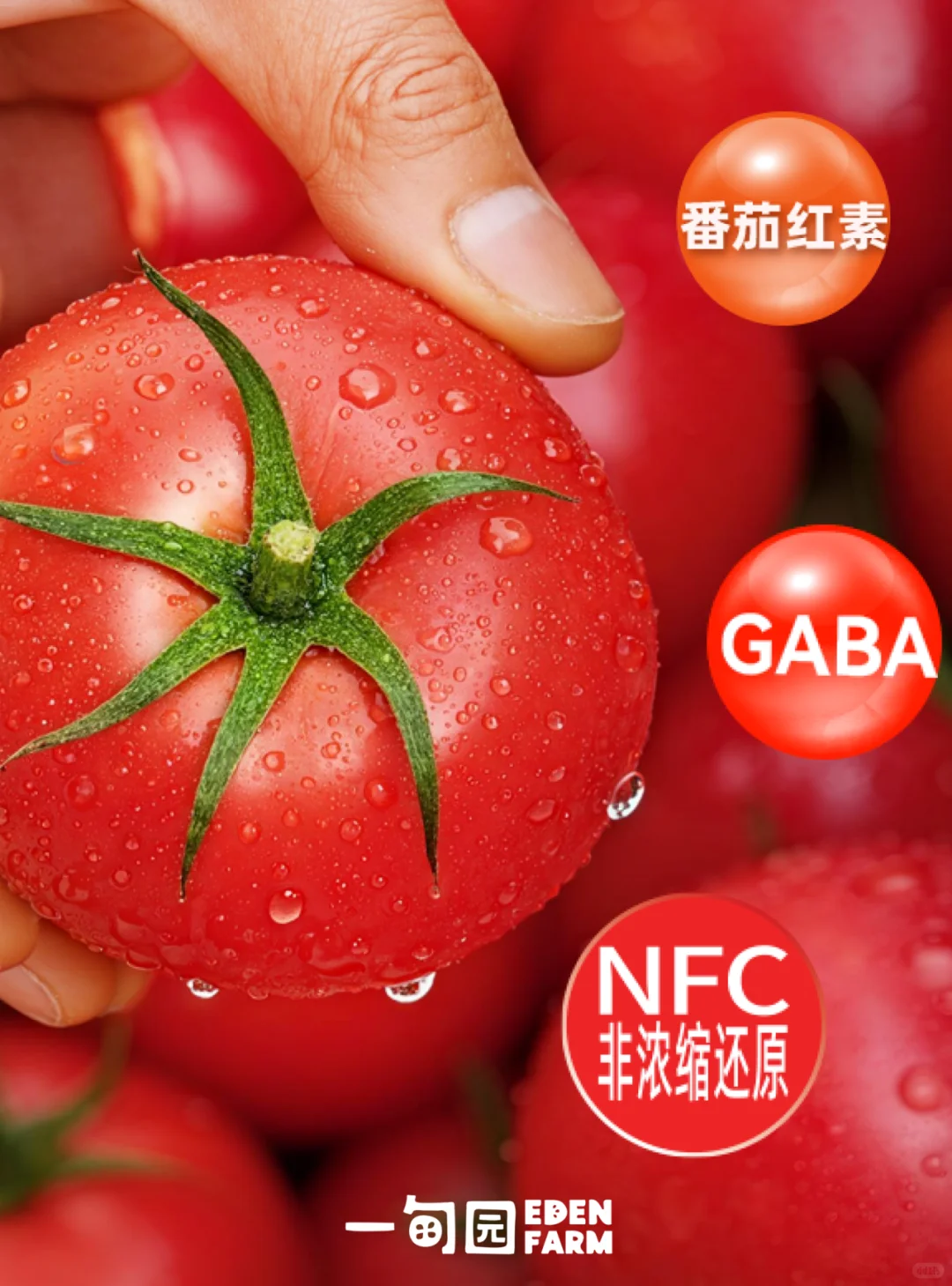 一甸园,荣获CIC灼识市场地位认证?