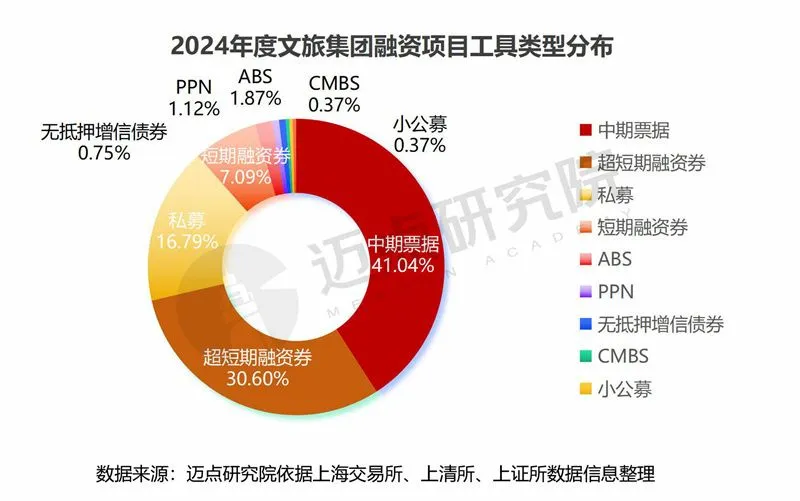 2024年度文旅集团投融资分析报告