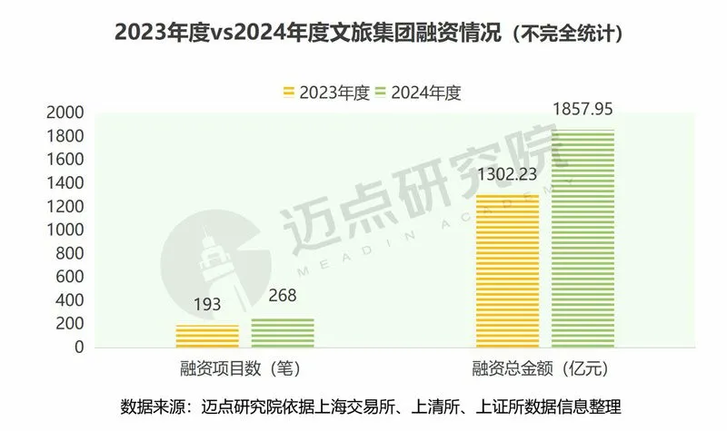 2024年度文旅集团投融资分析报告