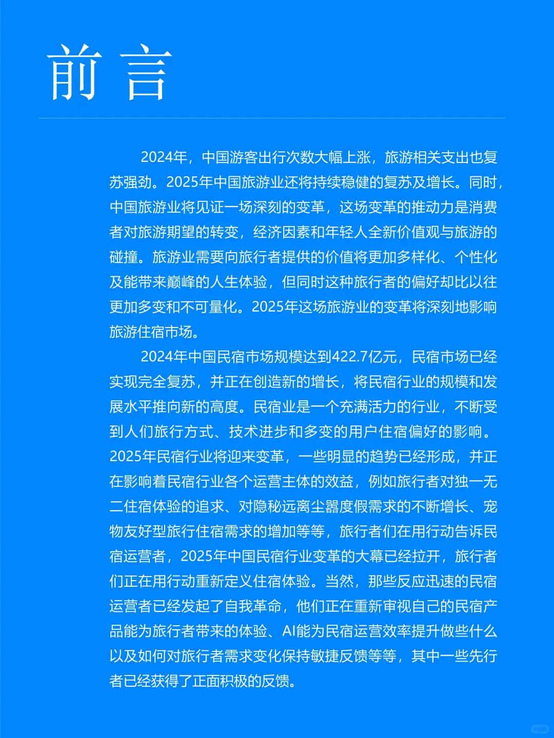 2025中国民宿行业大趋势解析