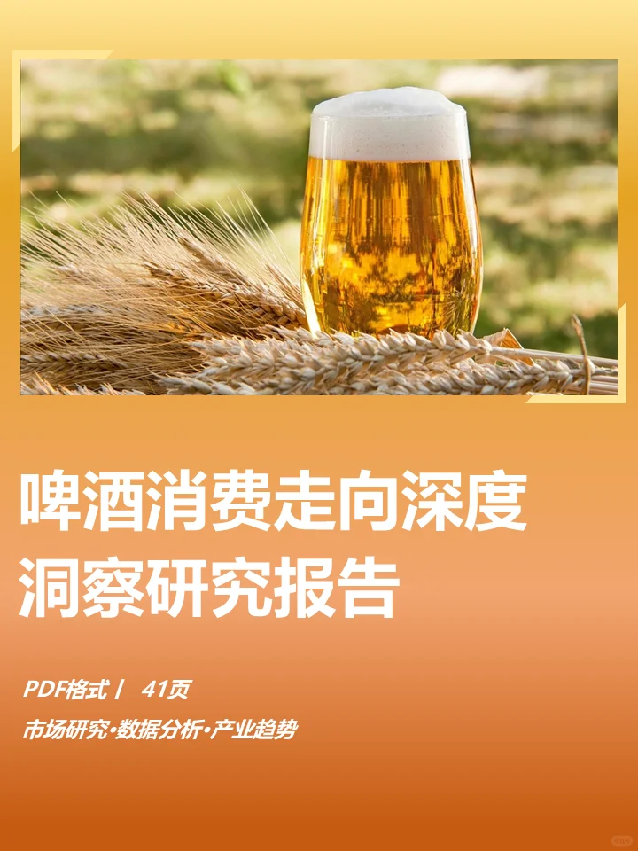 啤酒消费走向深度洞察研究报告
