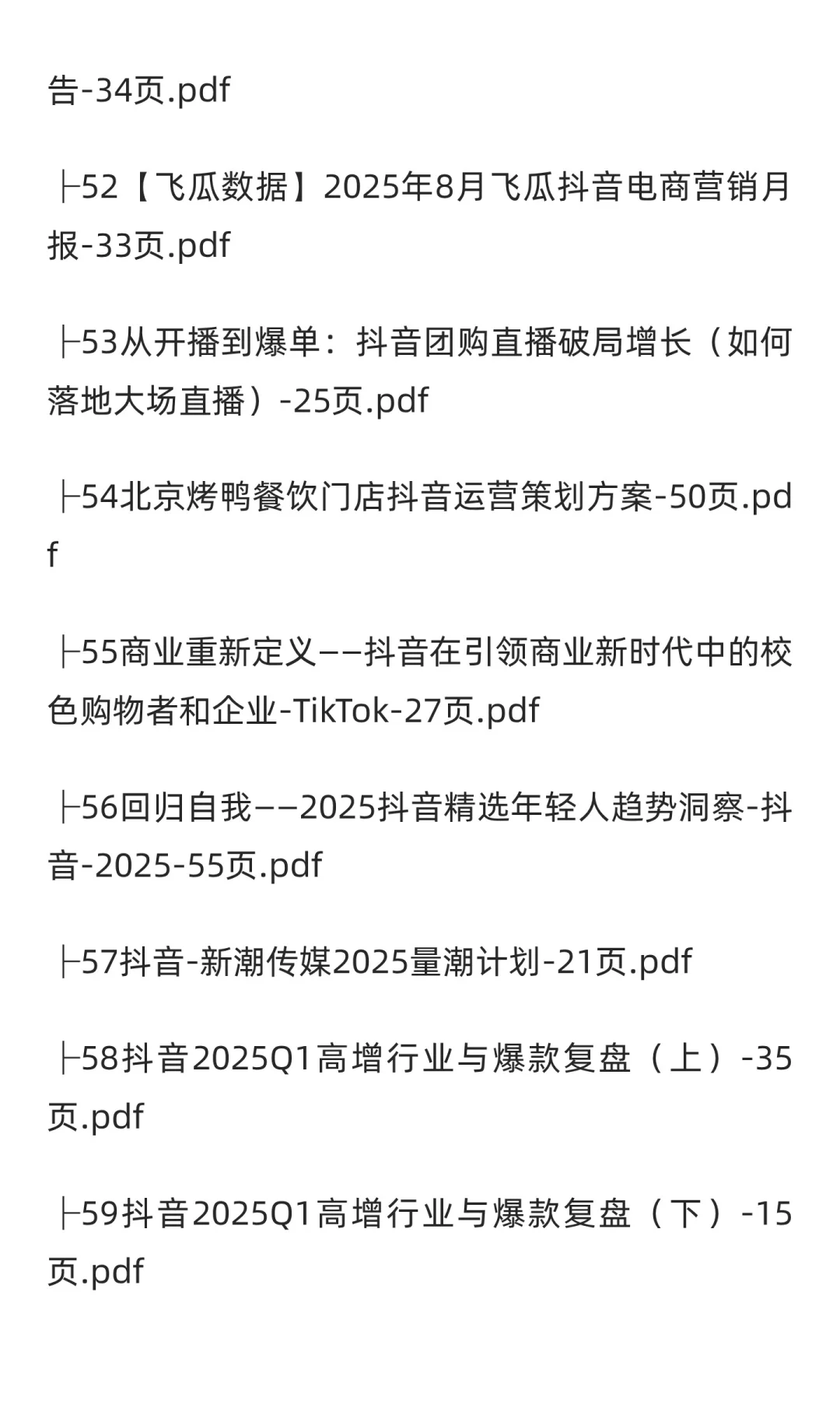 2025年抖音市场分析报告(80份)