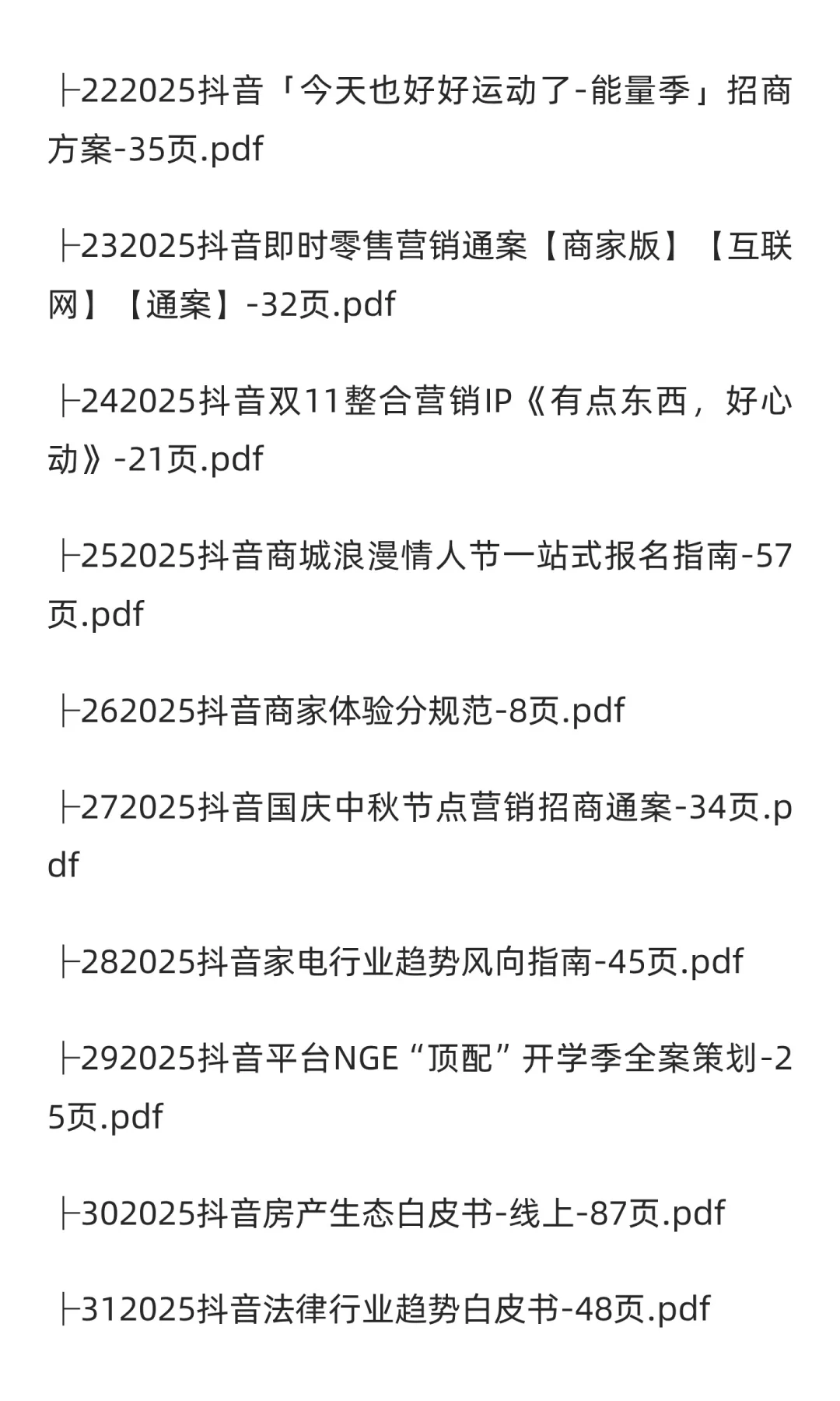 2025年抖音市场分析报告(80份)
