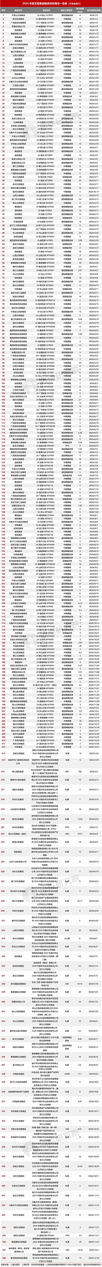 2024年度文旅集团投融资分析报告
