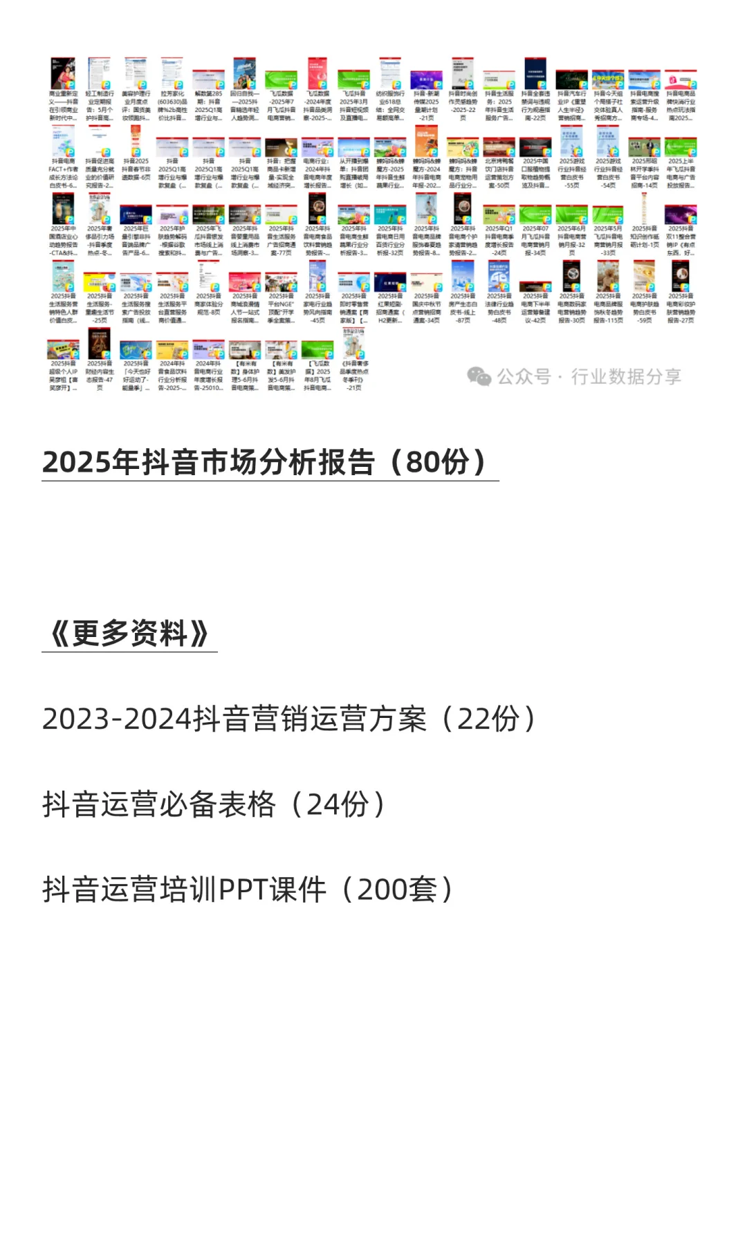 2025年抖音市场分析报告(80份)