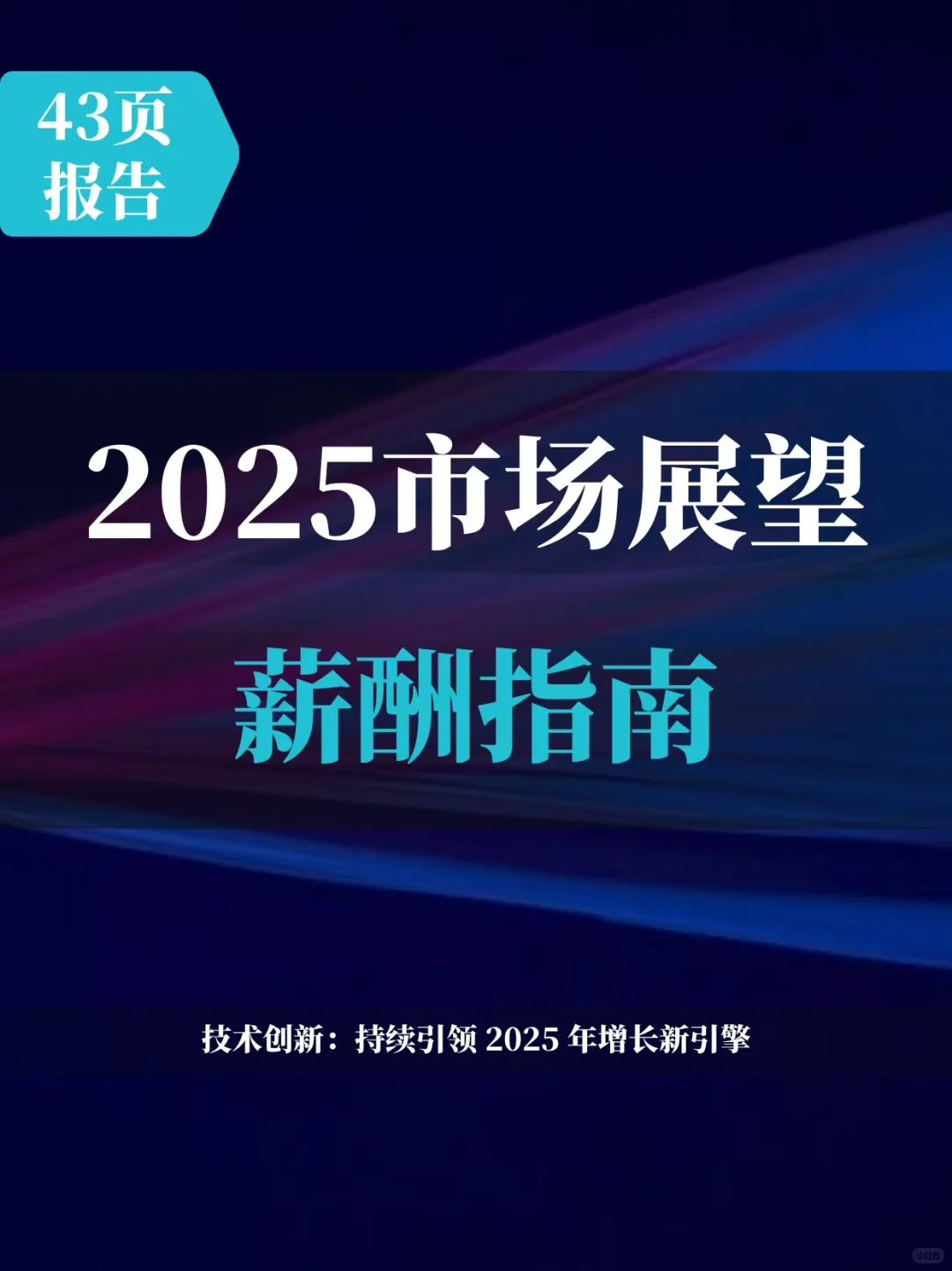 2025年市场展望与薪酬指南报告