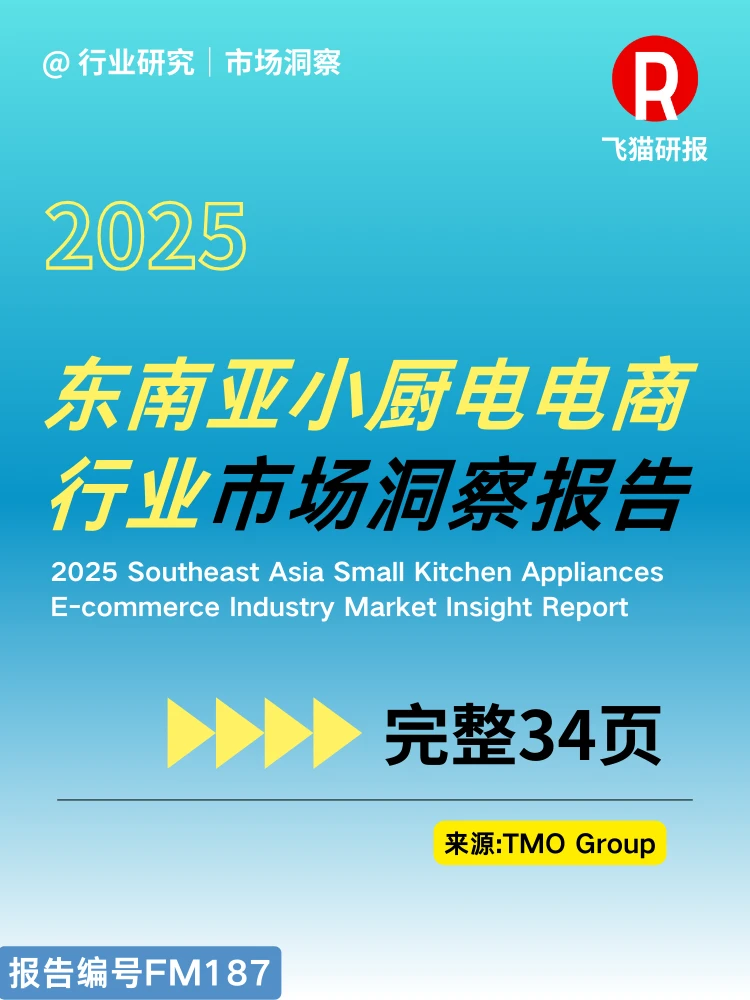 2025东南亚小厨电电商行业市场洞察报告