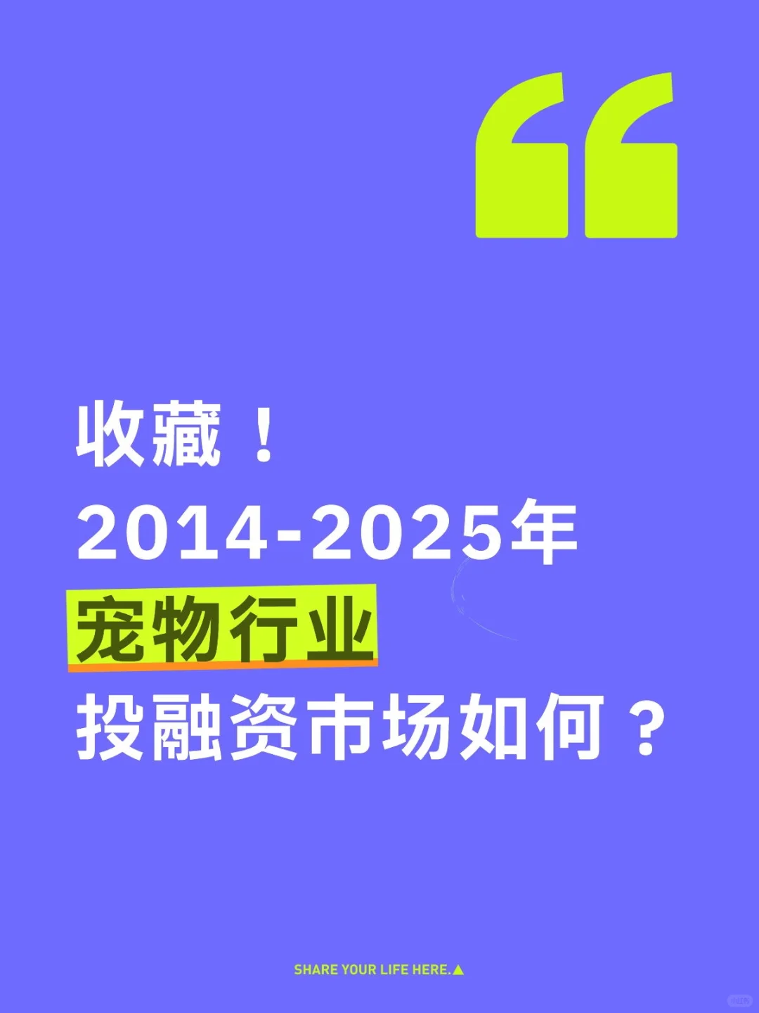 一文了解宠物行业投融资环境