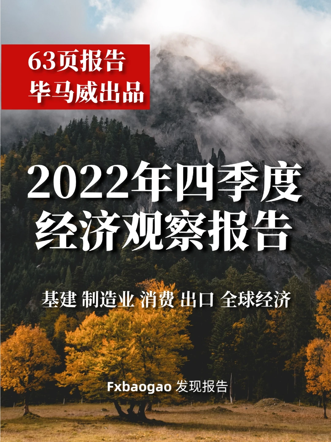 63页报告｜毕马威2022年四季度经济观察报告