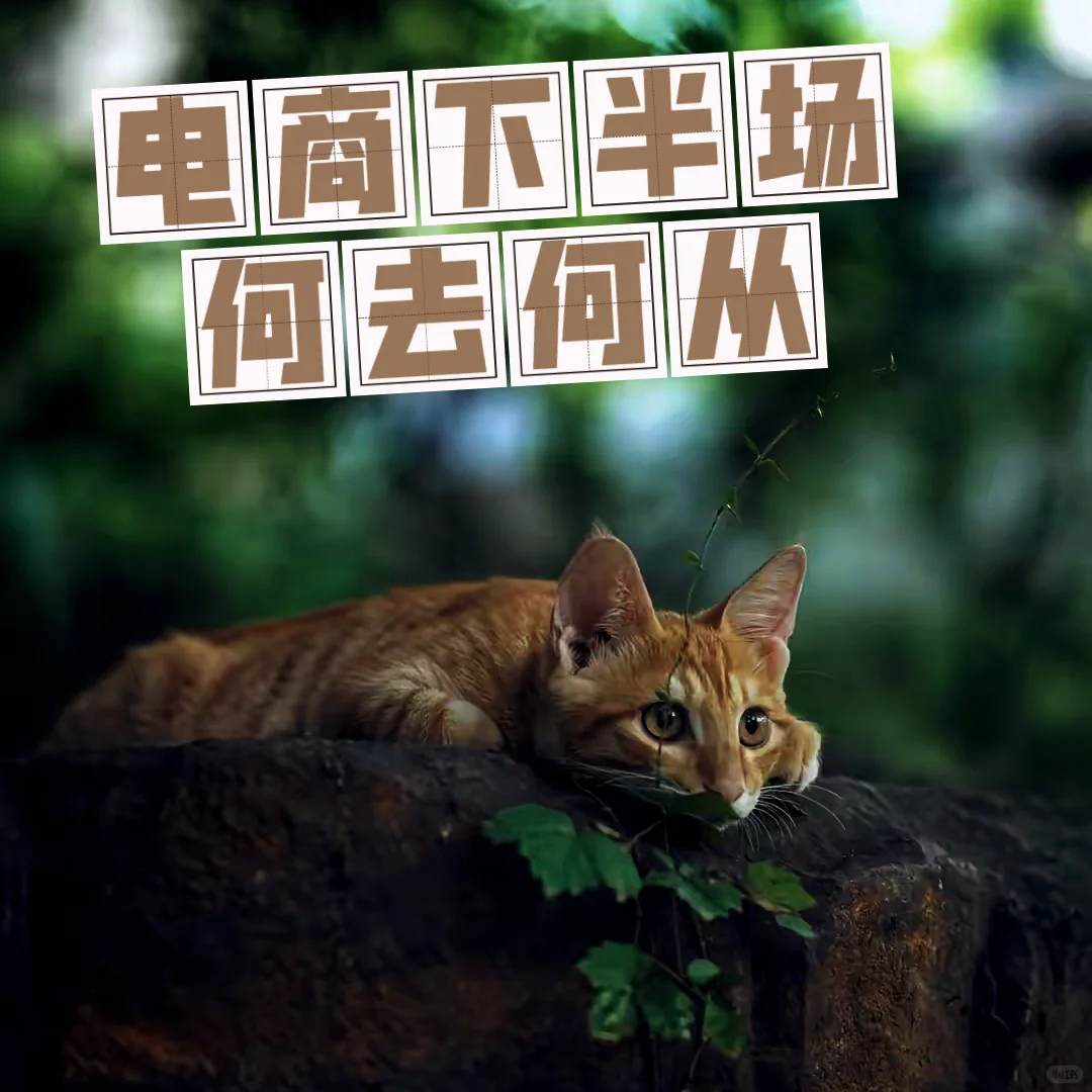 电商下半场，胜利不再属于机会主义者