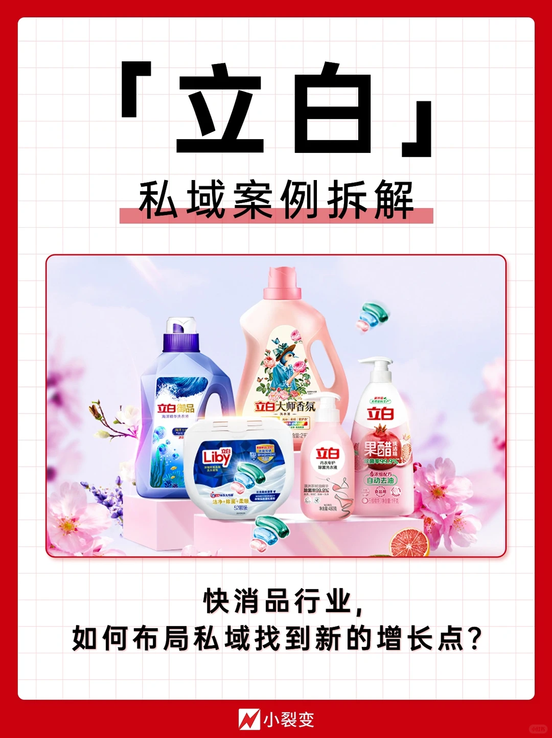 私域案例?立白布局私域新增长2000万会员?