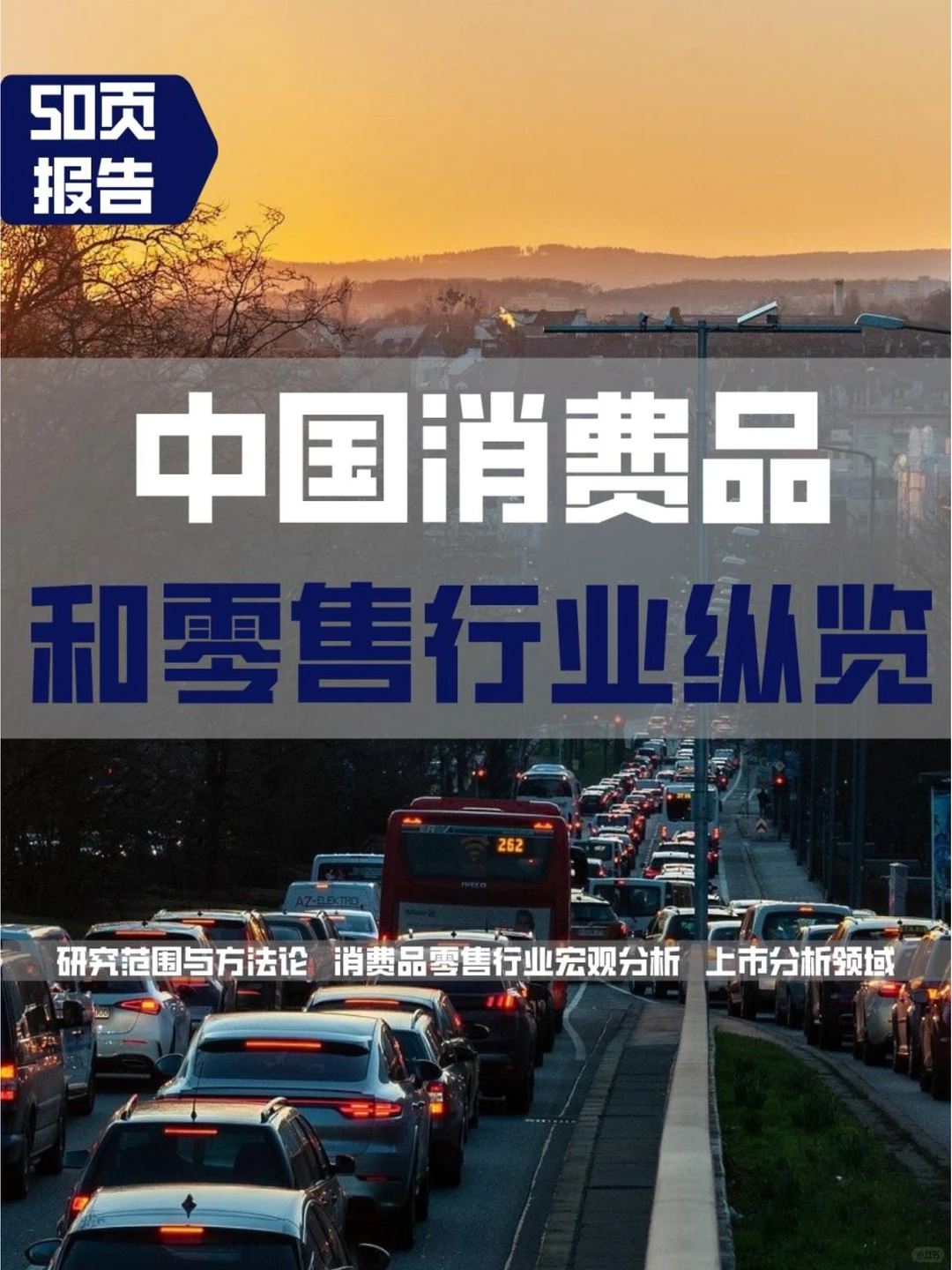 中国消费品和零售行业纵览2023