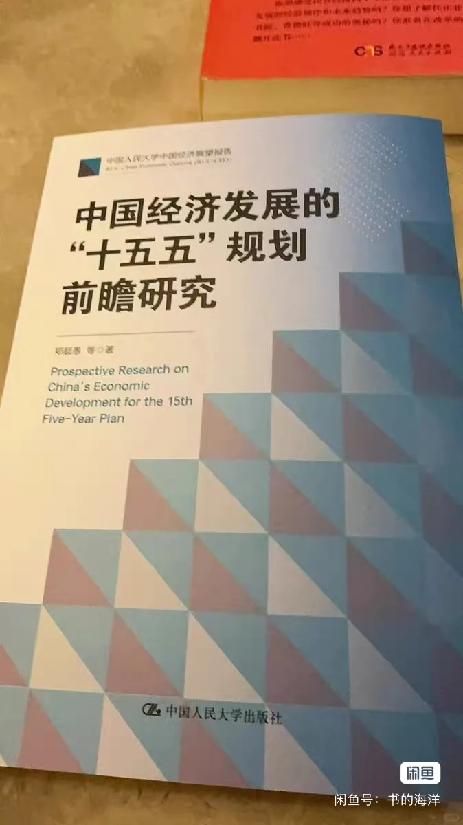 中国经济发展的“十五五”规划前瞻研究.pdf