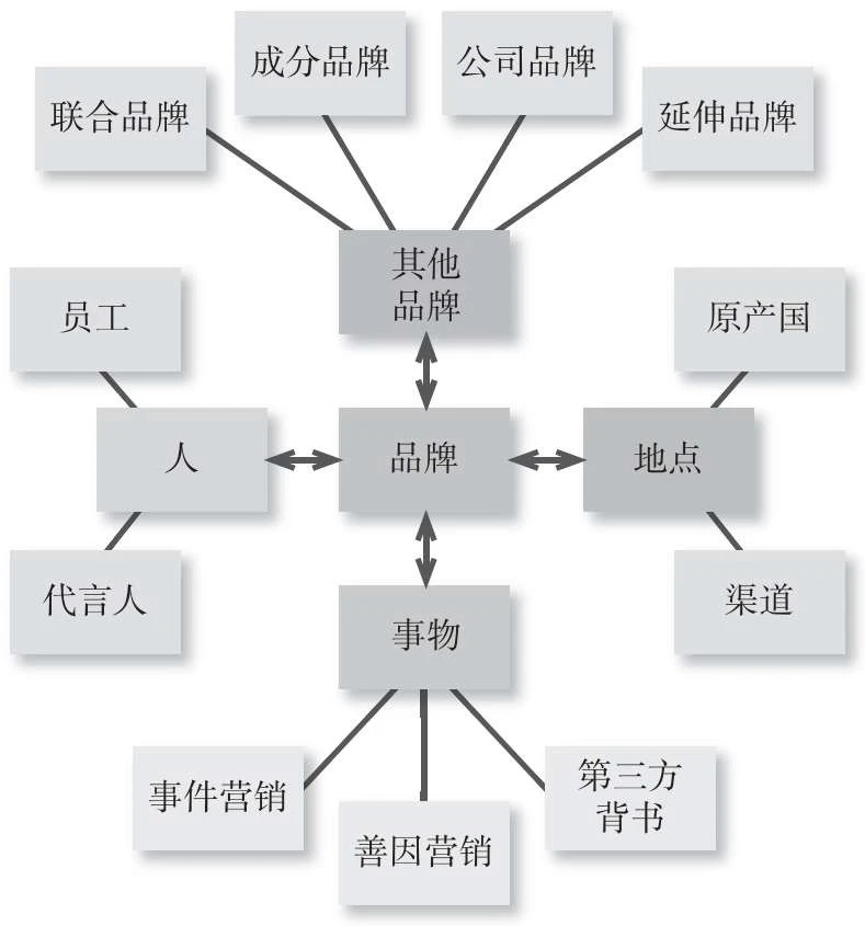如何制定品牌策略放大优势？
