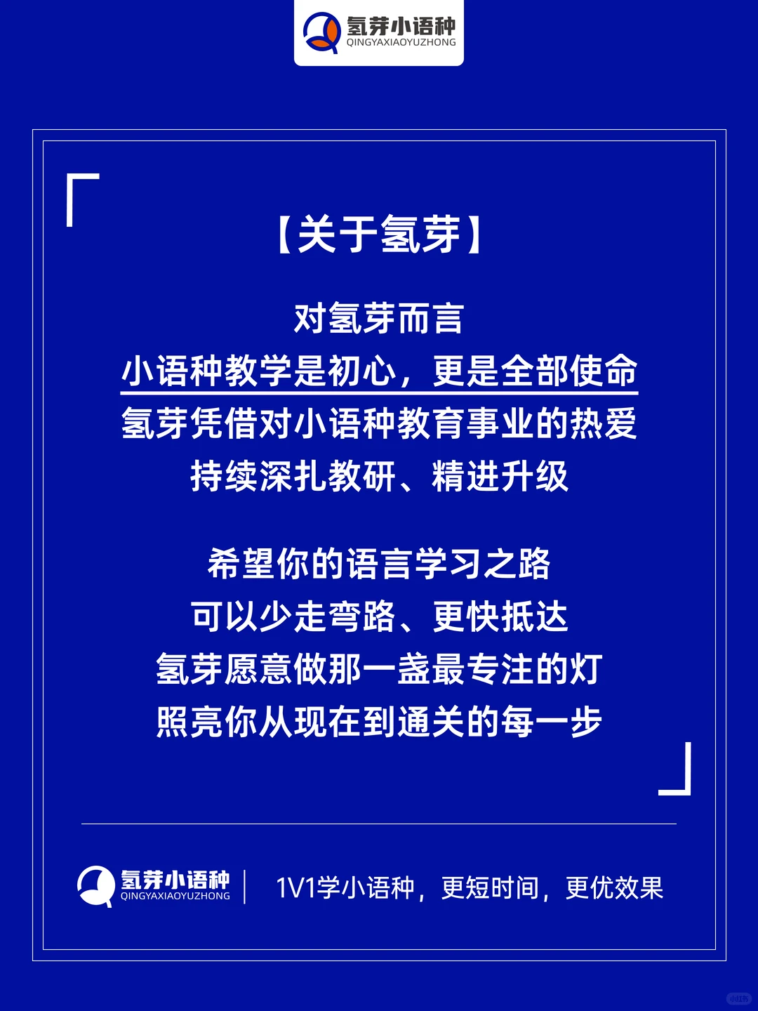官方发布|氢芽小语种2024年度数据报告