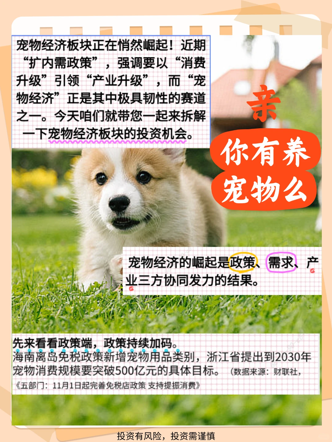宠物赛道还有哪些机会