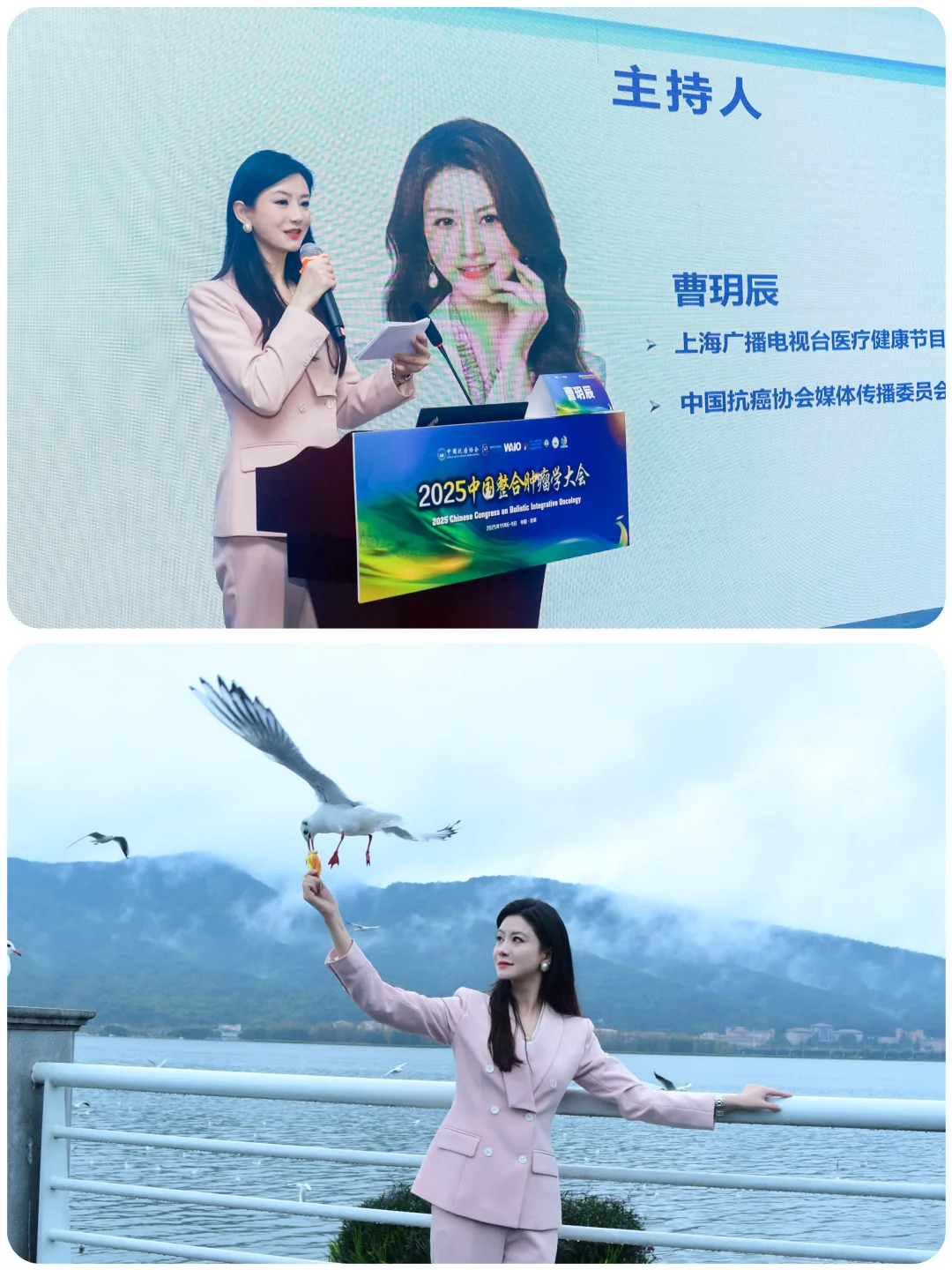 上半场会议主持，下半场滇池喂鸥?