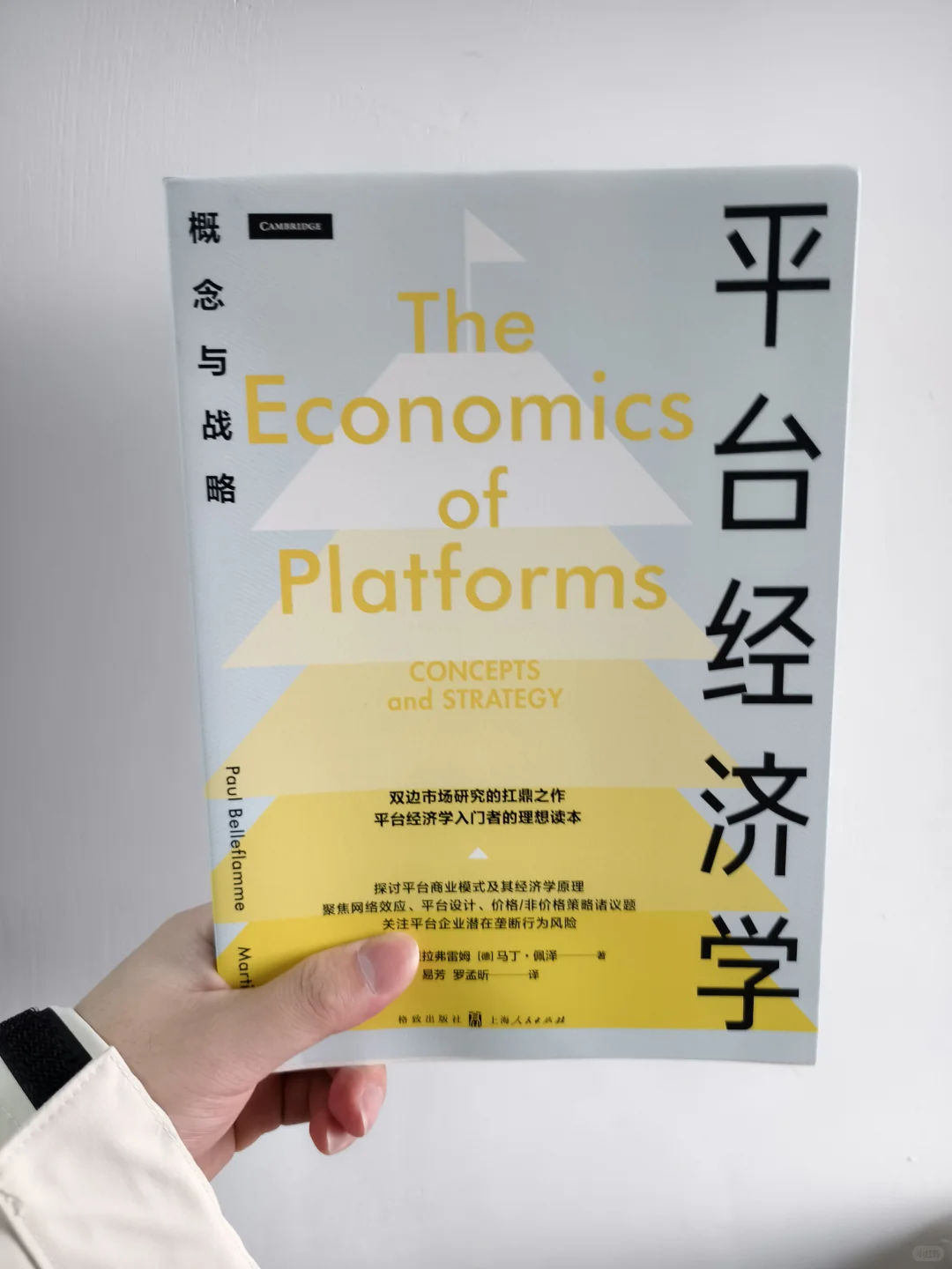 平台的经济破局
