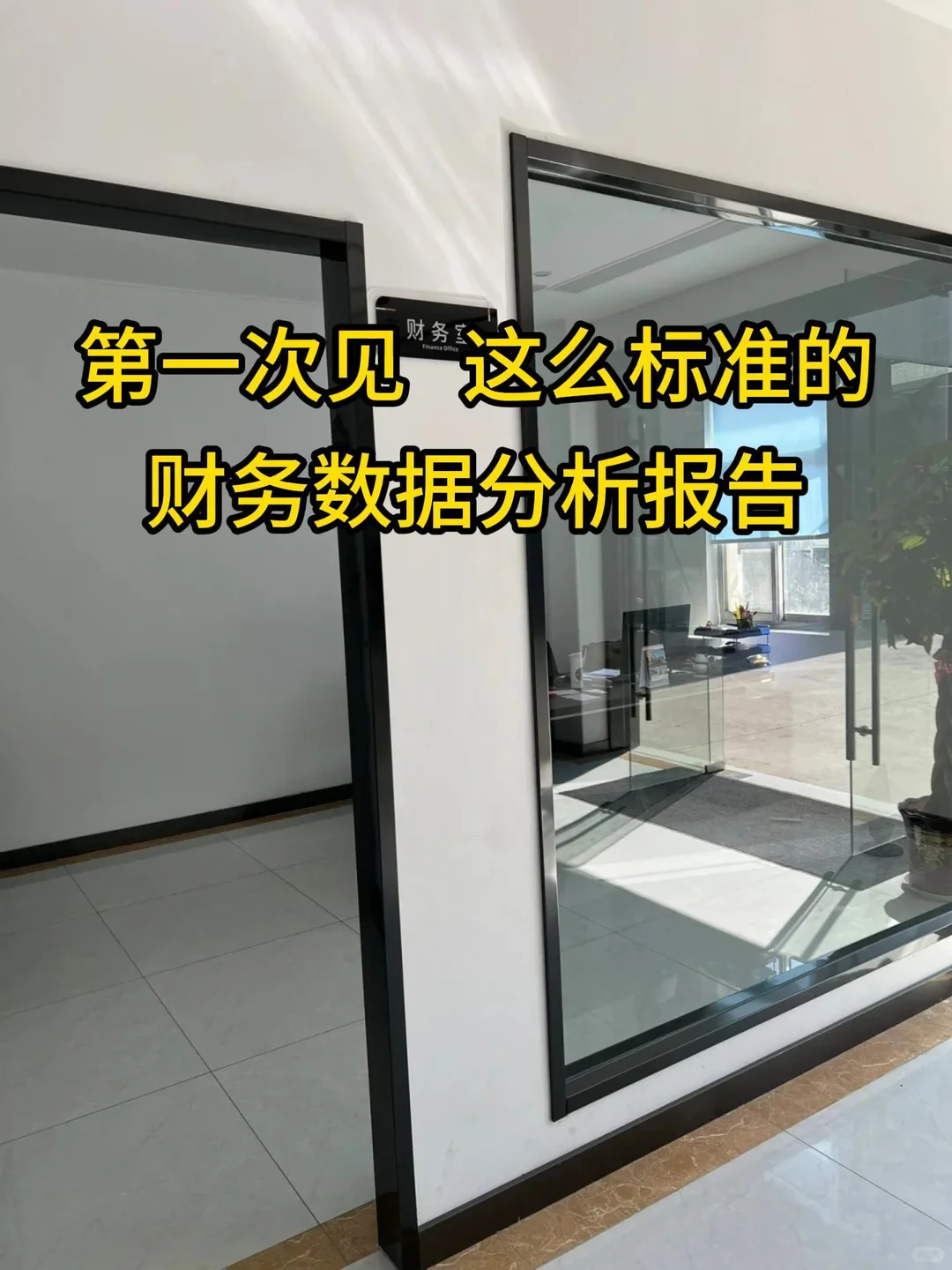 第一次见这么标准的财务数据分析报告