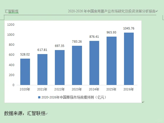 金针菇行业市场研究与发展前景预测报告