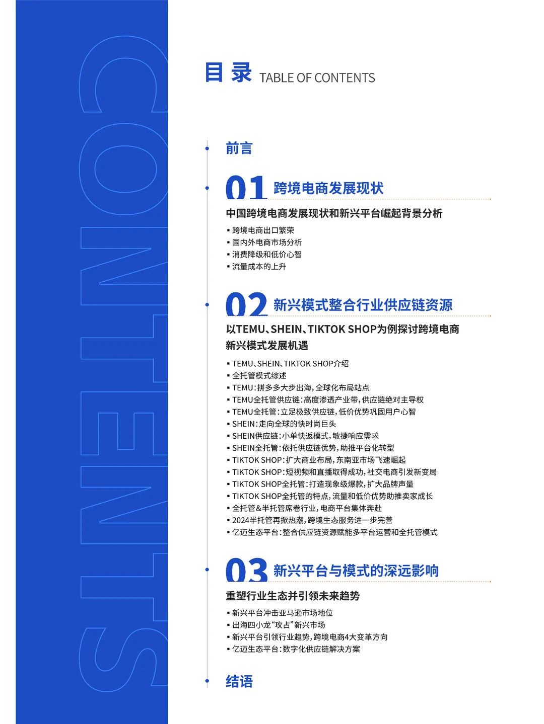 2024年跨境电商新兴平台模式研究报告