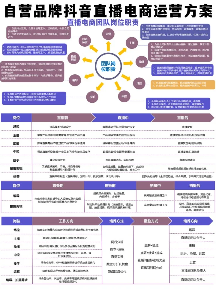 自营品牌电商直播项目运营计划方案