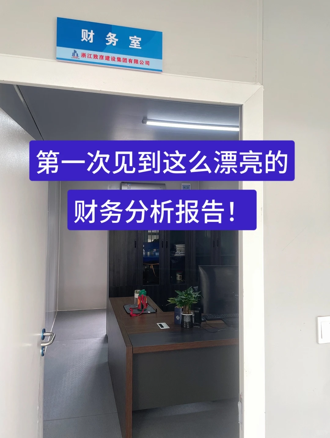 第一次见到这么漂亮的财务分析报告！