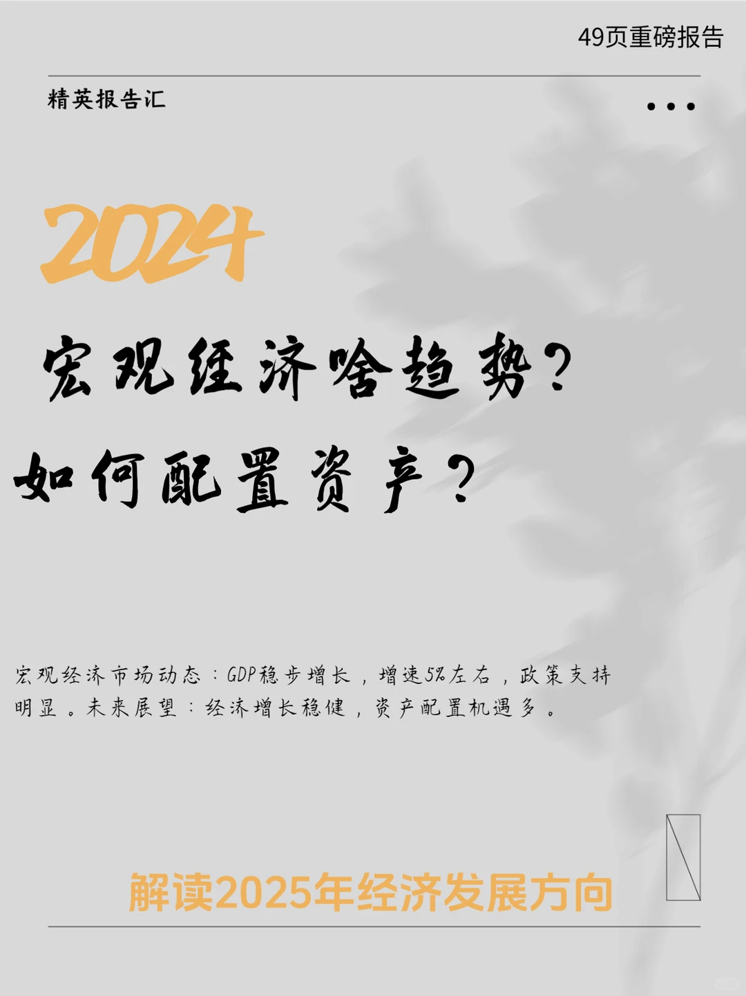 2024年中国宏观经济与资产展望