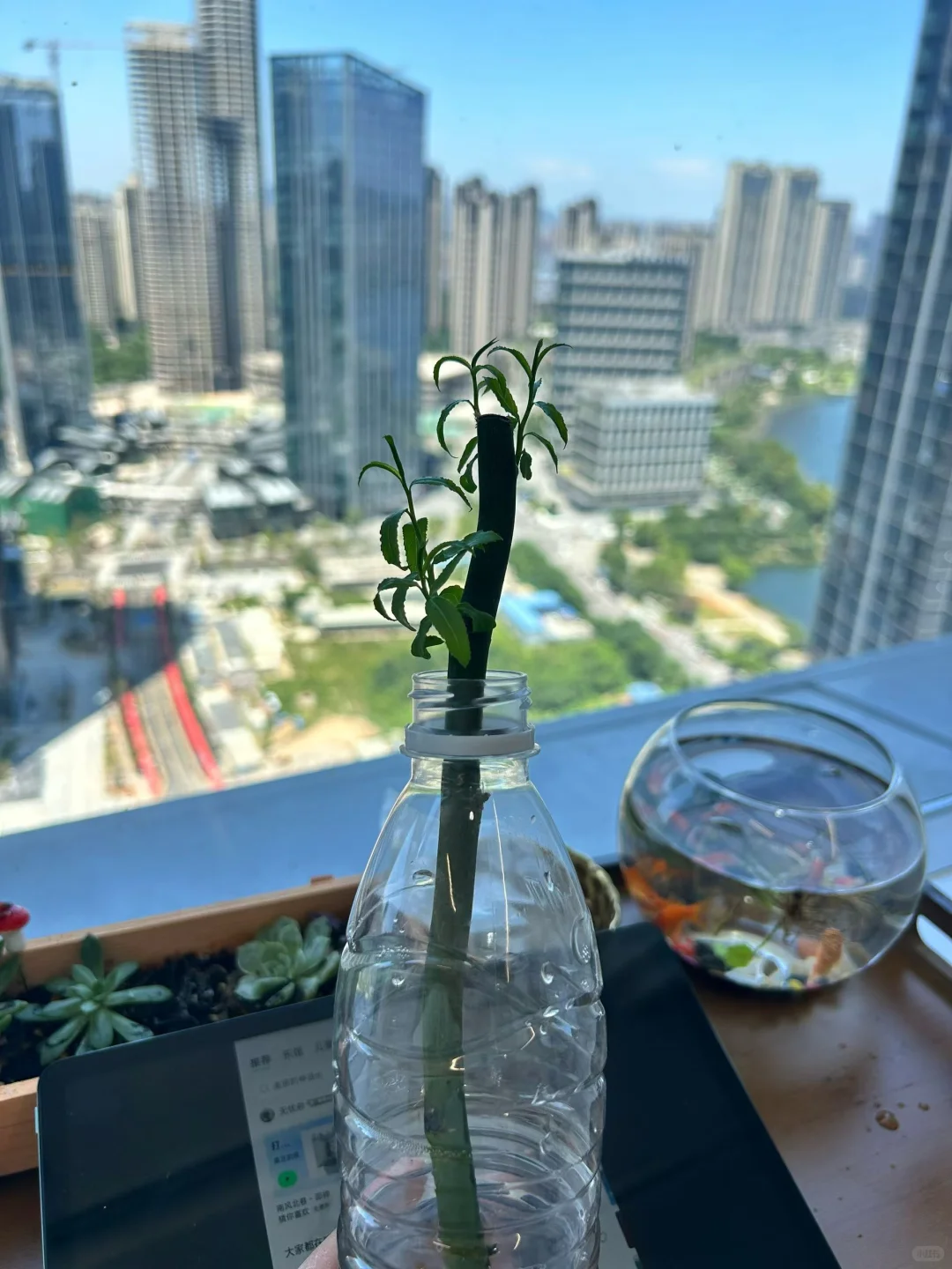 在长沙,邀请陌生朋友来我们民宿吃饭