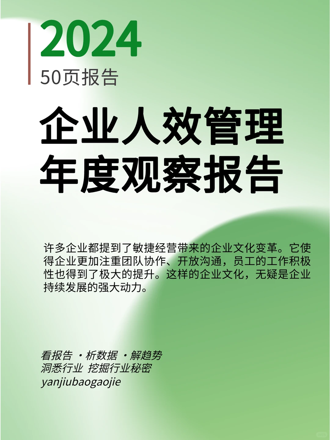 2024企业人效管理年度观察报告