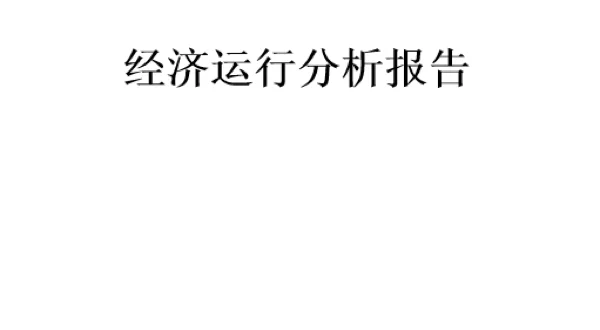 财务 经济运行分析报告 详细 财务分析报告