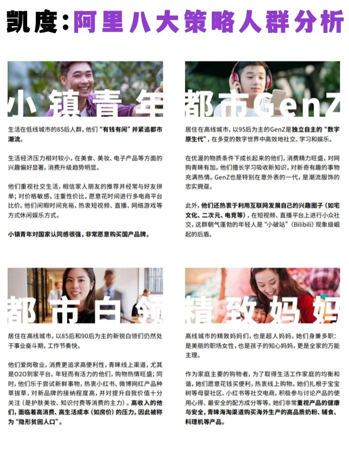 凯度:阿电商八大策略人群分析