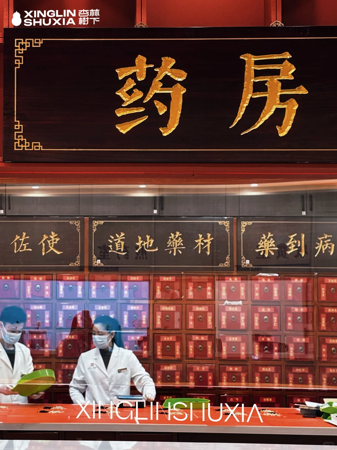 会养生的本草茶饮店+中医把脉！养生赛道已出