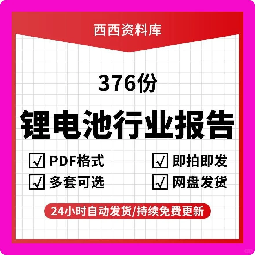 必看！2025锂行业及锂电产业链分析报告素材