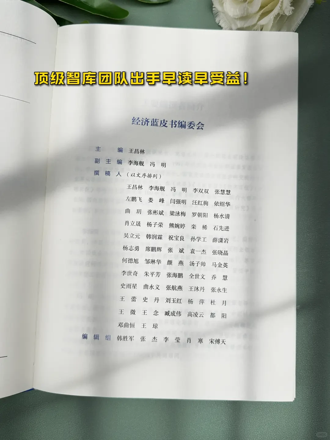 2025中国经济蓝皮书一本书带你看懂中国经济