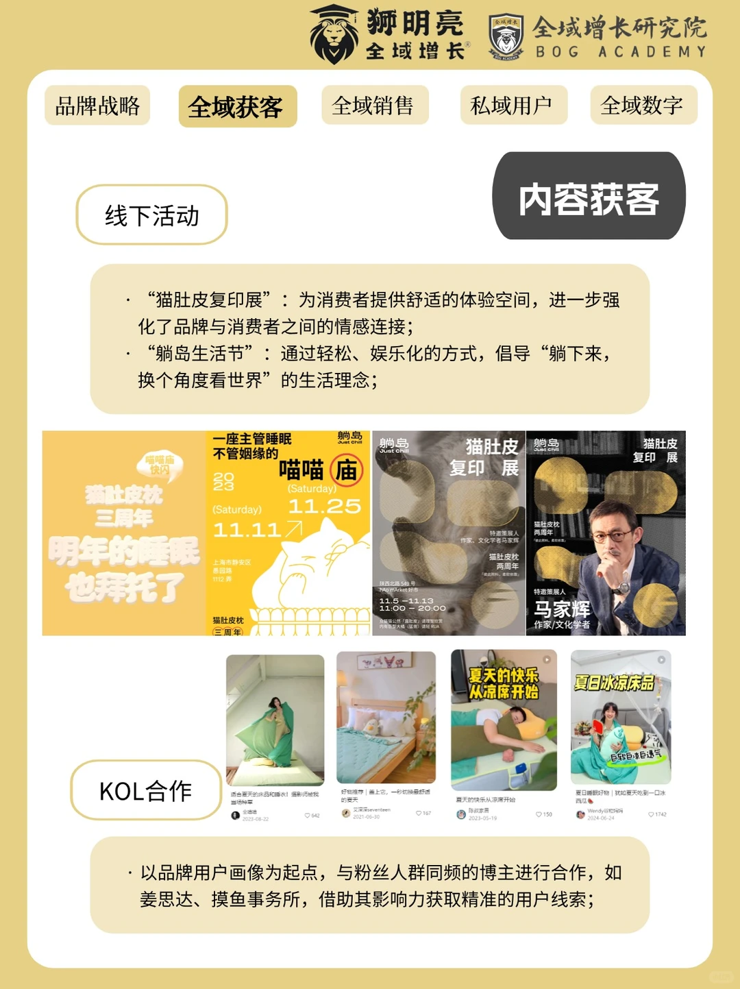 品牌案例 | 躺岛的全域增长模式分析