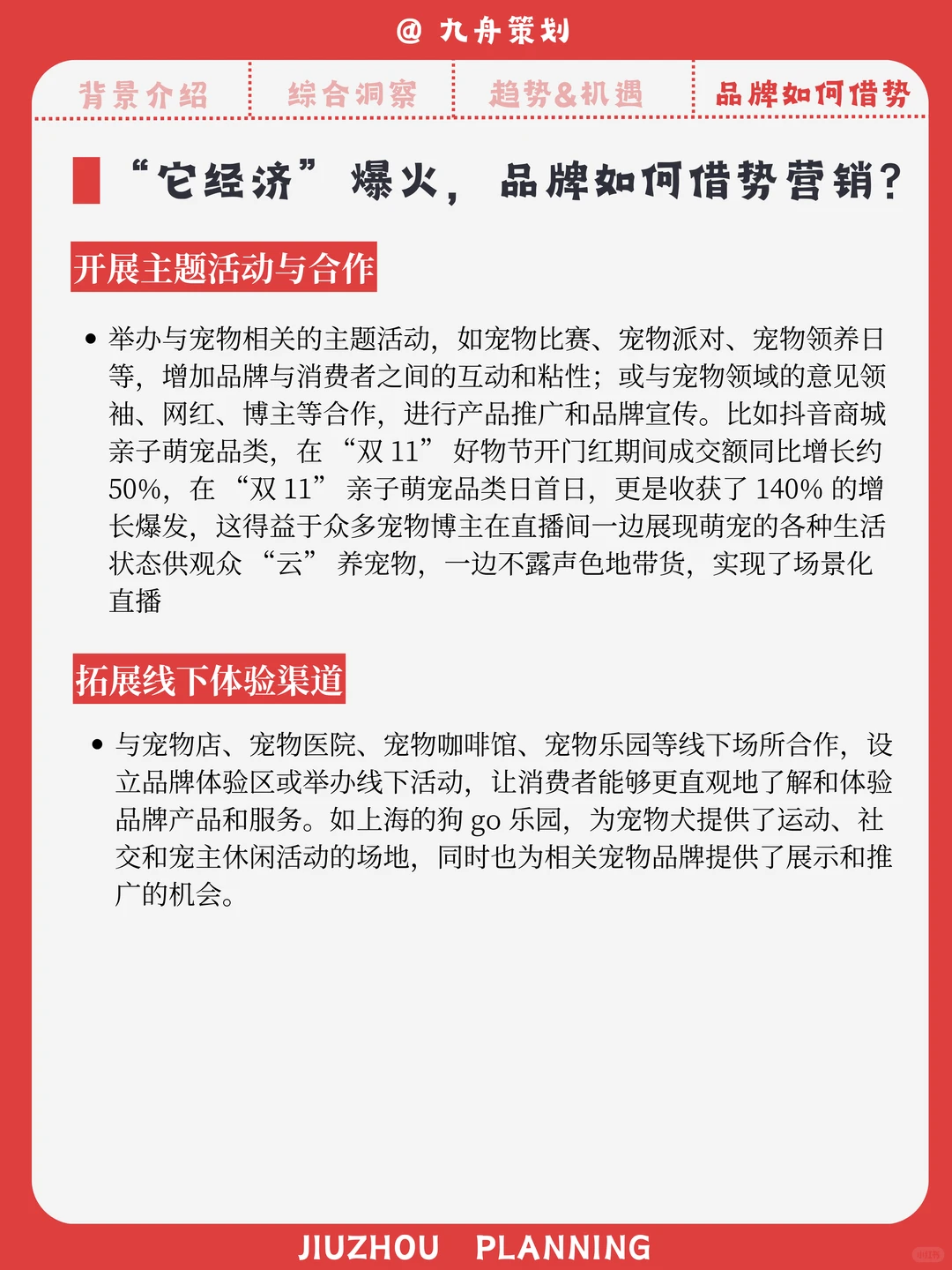 它经济爆火，一只宠物背后的千亿生意