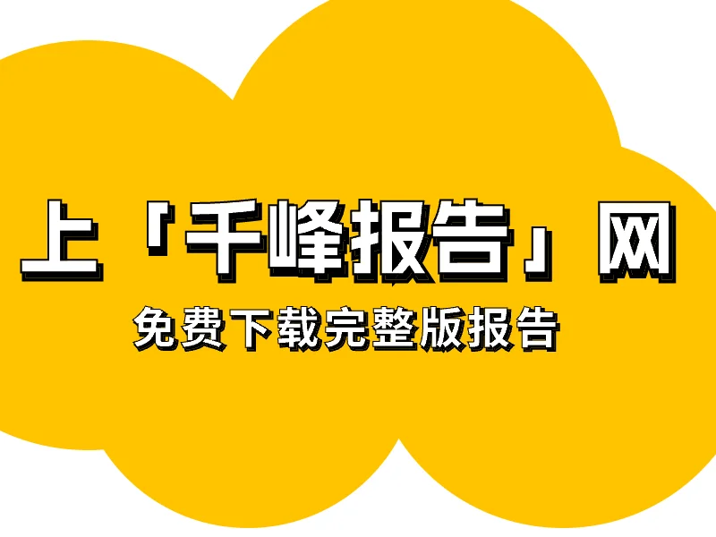 2023年中国品牌电商服务商行业研究报告