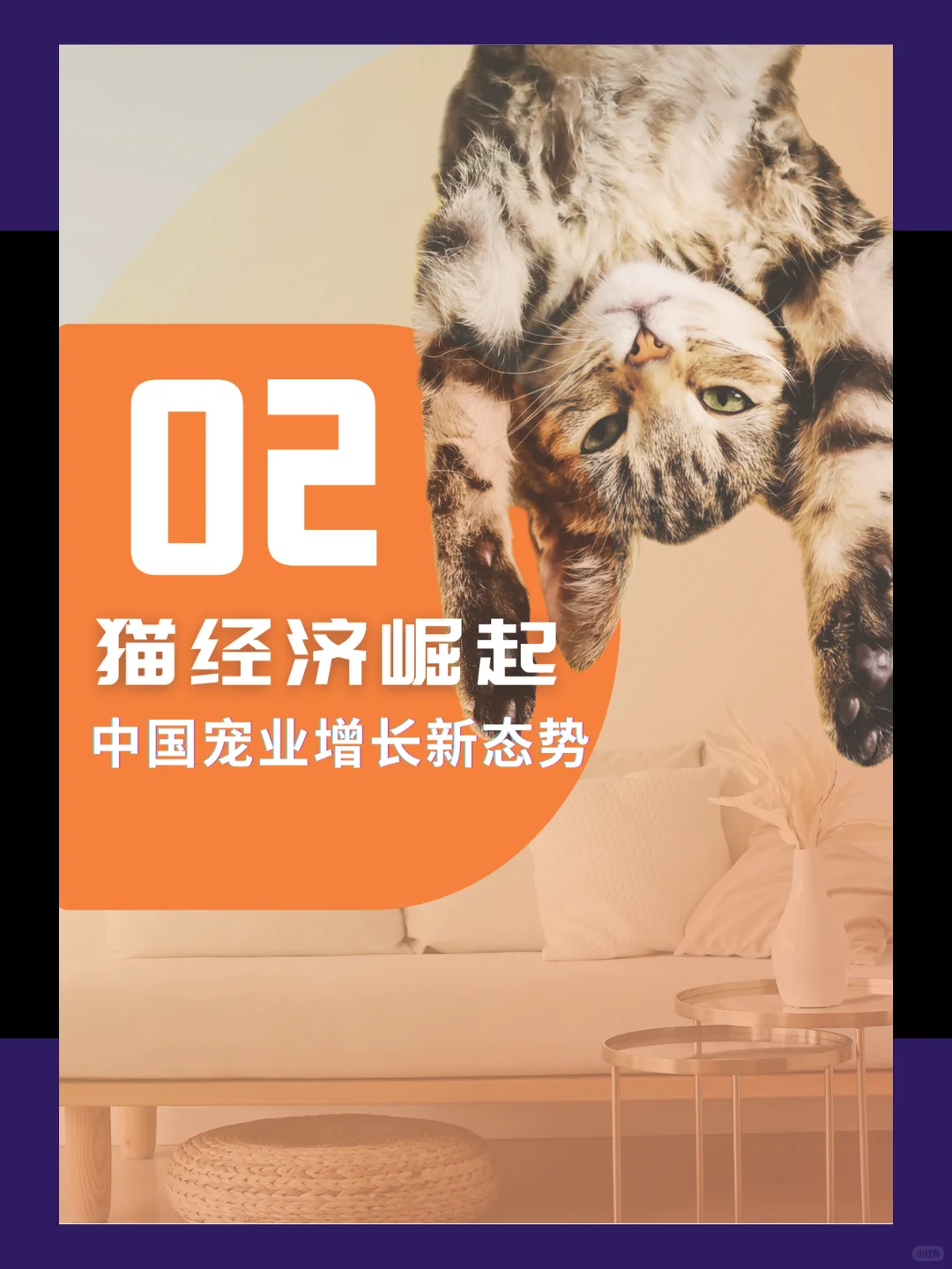 35页报告|我读懂养宠人群/核心洞察/消费偏