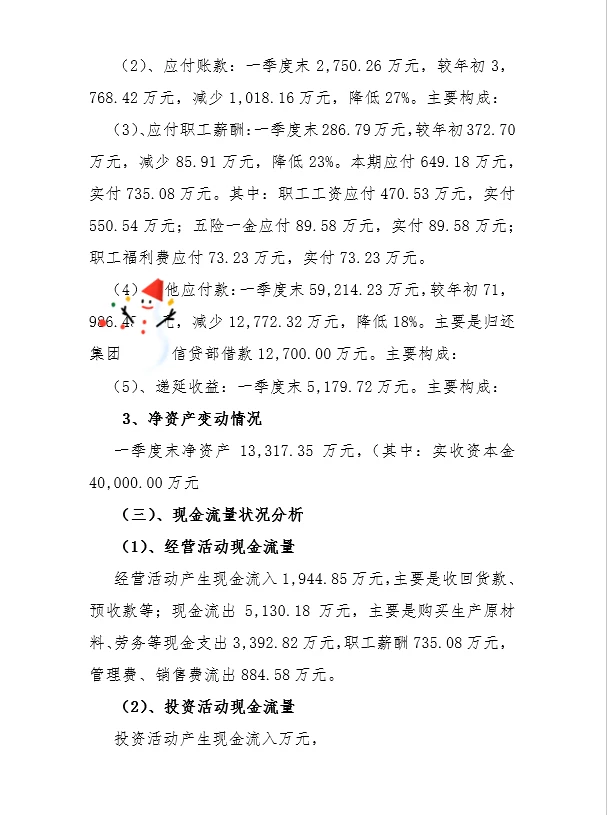 财务 经济运行分析报告 详细 财务分析报告