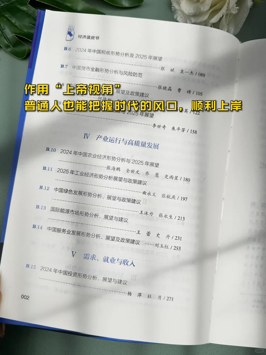 2025中国经济蓝皮书一本书带你看懂中国经济