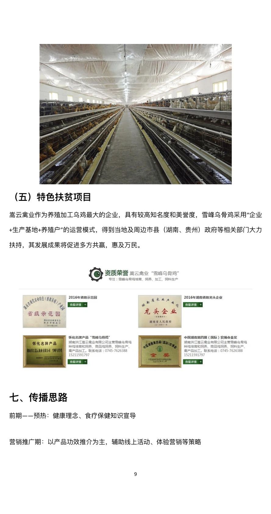 品牌策划方案案例分享